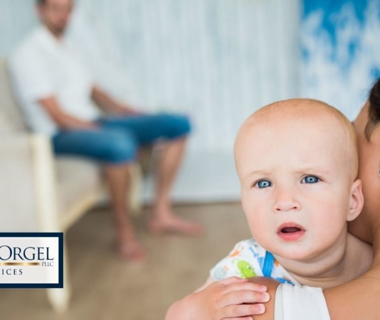 how-is-custody-determined-in-virginia-richmond-family-lawyer-breaks